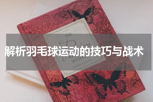  解析羽毛球运动的技巧与战术