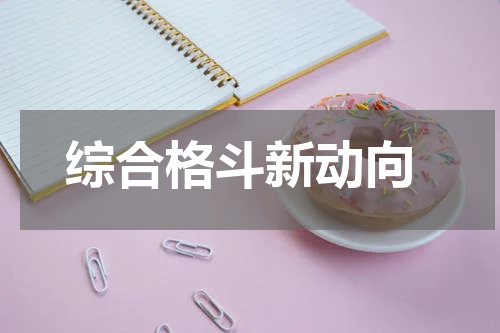  综合格斗新动向