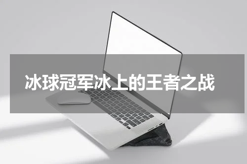 冰球冠军冰上的王者之战