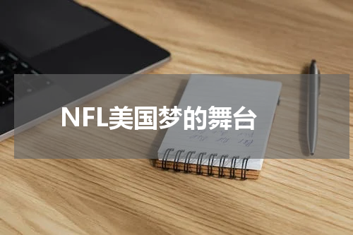  NFL美国梦的舞台