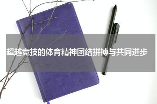  超越竞技的体育精神团结拼搏与共同进步