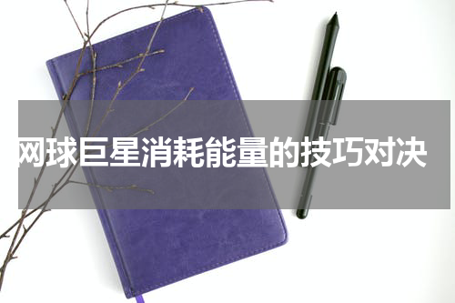  网球巨星消耗能量的技巧对决