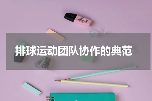  排球运动团队协作的典范