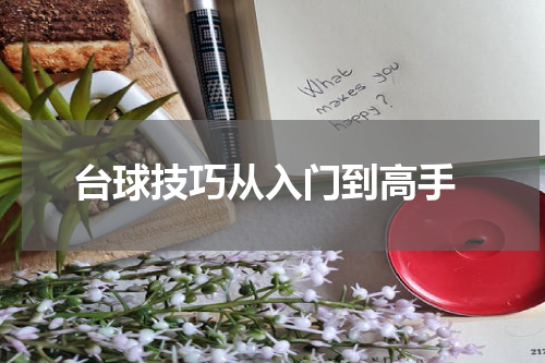  台球技巧从入门到高手