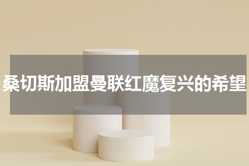 桑切斯加盟曼联红魔复兴的希望