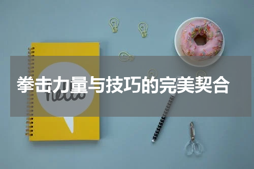  拳击力量与技巧的完美契合