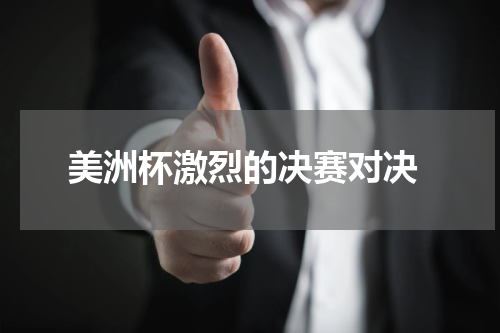  美洲杯激烈的决赛对决