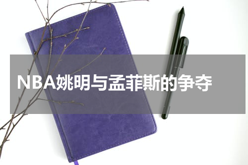  NBA姚明与孟菲斯的争夺