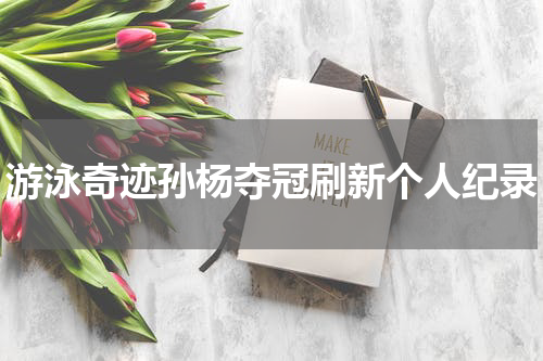 游泳奇迹孙杨夺冠刷新个人纪录