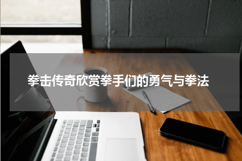  拳击传奇欣赏拳手们的勇气与拳法