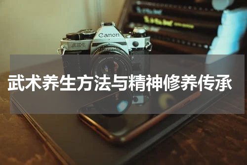  武术养生方法与精神修养传承