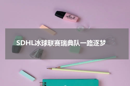 SDHL冰球联赛瑞典队一路逐梦
