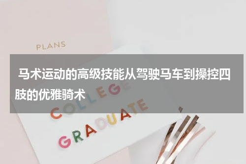  马术运动的高级技能从驾驶马车到操控四肢的优雅骑术