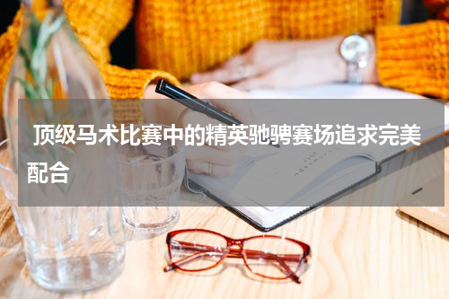  顶级马术比赛中的精英驰骋赛场追求完美配合