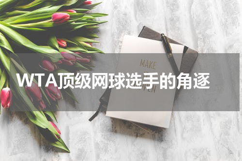  WTA顶级网球选手的角逐