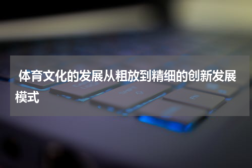  体育文化的发展从粗放到精细的创新发展模式