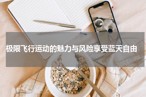  极限飞行运动的魅力与风险享受蓝天自由