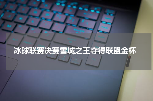  冰球联赛决赛雪城之王夺得联盟金杯