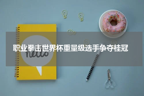  职业拳击世界杯重量级选手争夺桂冠