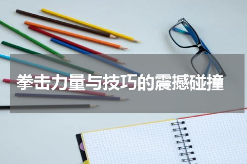  拳击力量与技巧的震撼碰撞