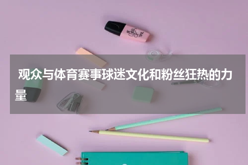  观众与体育赛事球迷文化和粉丝狂热的力量