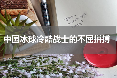  中国冰球冷酷战士的不屈拼搏
