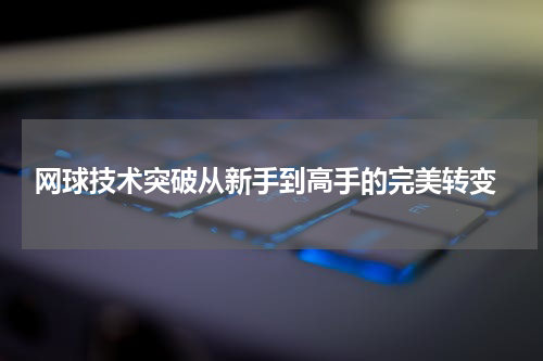  网球技术突破从新手到高手的完美转变