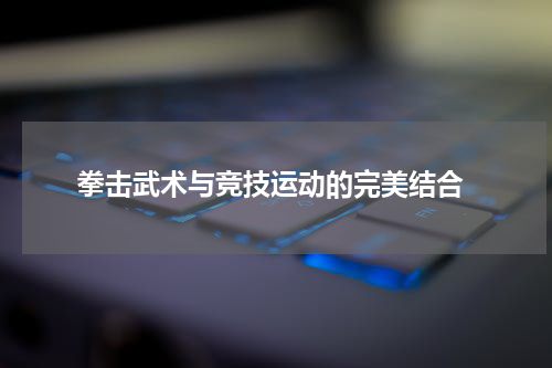  拳击武术与竞技运动的完美结合