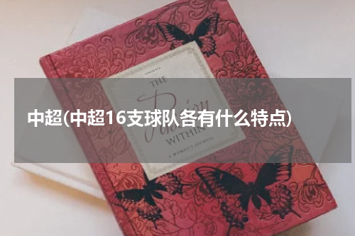 中超(中超16支球队各有什么特点)