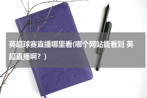 英超球赛直播哪里看(哪个网站能看到 英超直播啊？)