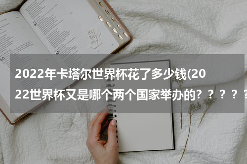 2022年卡塔尔世界杯花了多少钱(2022世界杯又是哪个两个国家举办的？？？？？)