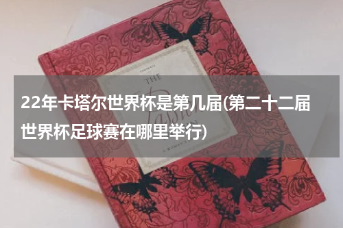 22年卡塔尔世界杯是第几届(第二十二届世界杯足球赛在哪里举行)