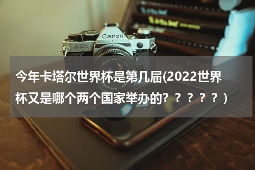 今年卡塔尔世界杯是第几届(2022世界杯又是哪个两个国家举办的？？？？？)