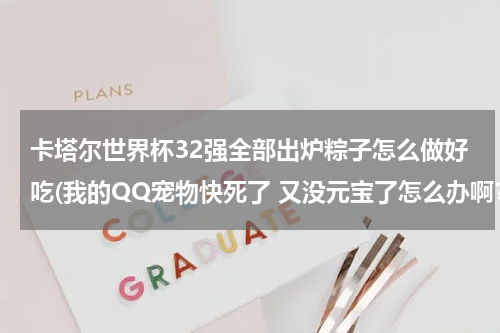 卡塔尔世界杯32强全部出炉粽子怎么做好吃(我的QQ宠物快死了 又没元宝了怎么办啊？)