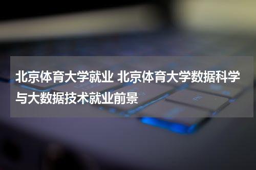 北京体育大学就业 北京体育大学数据科学与大数据技术就业前景