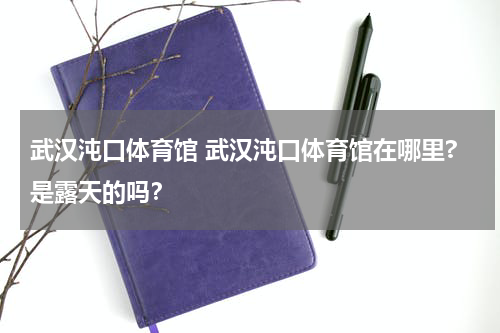 武汉沌口体育馆 武汉沌口体育馆在哪里?是露天的吗？
