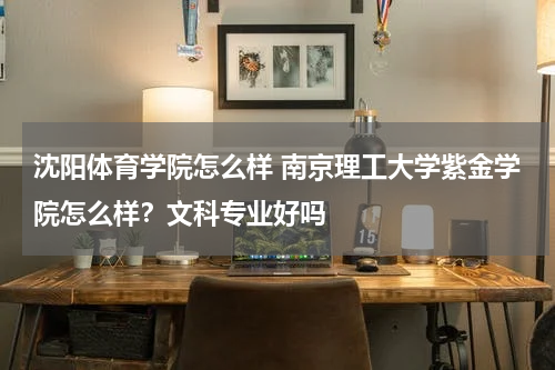 沈阳体育学院怎么样 南京理工大学紫金学院怎么样？文科专业好吗
