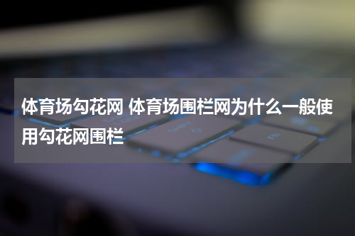 体育场勾花网 体育场围栏网为什么一般使用勾花网围栏
