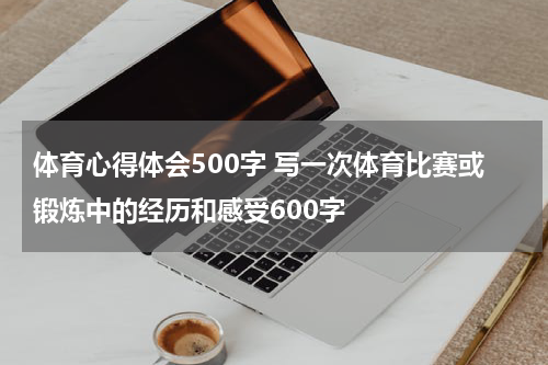 体育心得体会500字 写一次体育比赛或锻炼中的经历和感受600字