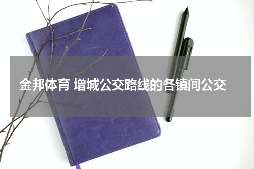 金邦体育 增城公交路线的各镇间公交