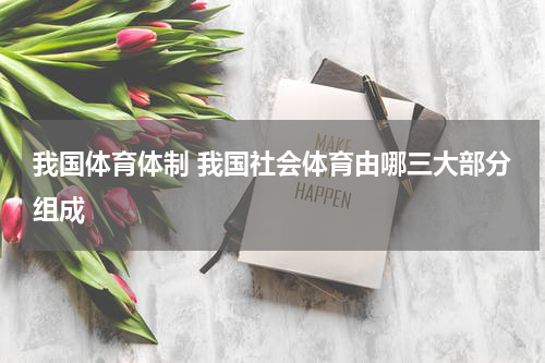我国体育体制 我国社会体育由哪三大部分组成
