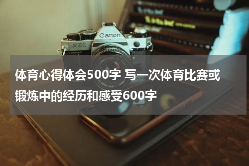 体育心得体会500字 写一次体育比赛或锻炼中的经历和感受600字