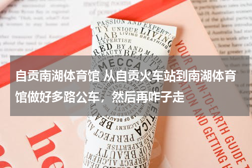 自贡南湖体育馆 从自贡火车站到南湖体育馆做好多路公车，然后再咋子走