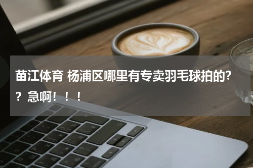 苗江体育 杨浦区哪里有专卖羽毛球拍的？？急啊！！！