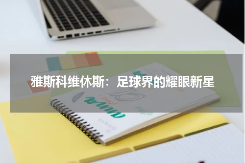 雅斯科维休斯：足球界的耀眼新星