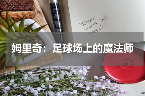 姆里奇：足球场上的魔法师