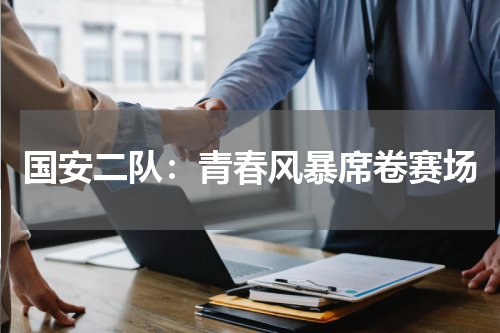 国安二队：青春风暴席卷赛场