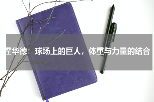 霍华德：球场上的巨人，体重与力量的结合