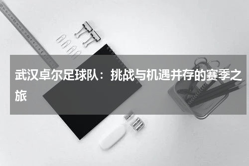 武汉卓尔足球队：挑战与机遇并存的赛季之旅