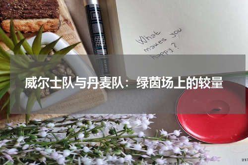 威尔士队与丹麦队：绿茵场上的较量
